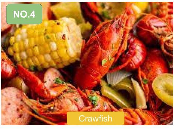 NO4. CRAZY CRAWDADS COMBO