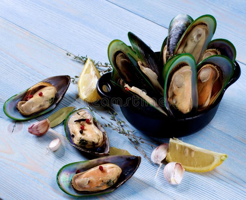 Lb Green Mussel