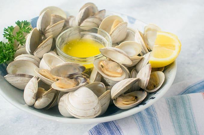0.5 LB CLAMS